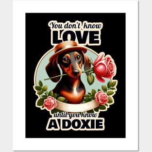 Dachshund Valentine's day Posters and Art